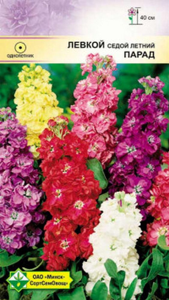 Левкой седой "Парад" 0.15г, Германия. Левкой седой "Парад" 0.15г, Германия.
