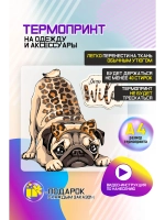 Термонаклейка на одежду, термопринт "Мопс"