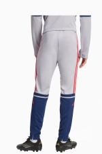 Штаны adidas Squadra 25 Training - серый