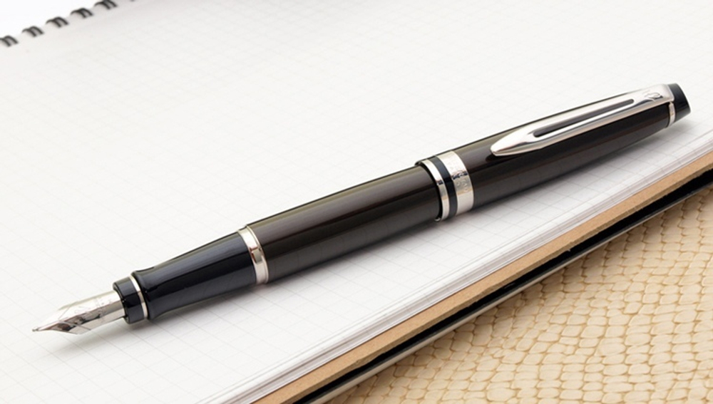 *Перьевая ручка Waterman Expert 3, цвет:  Deep Brown CT перо: F