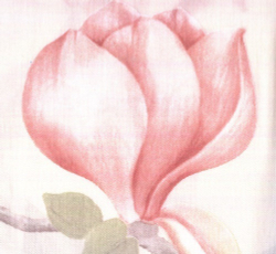 Пододеяльник 200x220 Elegante Magnolie бежевый фото