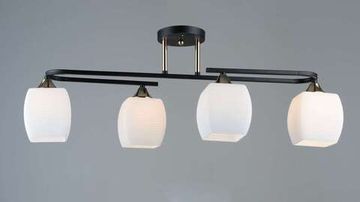 5485/4 BK+FGD (2) Люстра (RL)