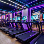 Профессиональная беговая дорожка SHUA SH-T9100T