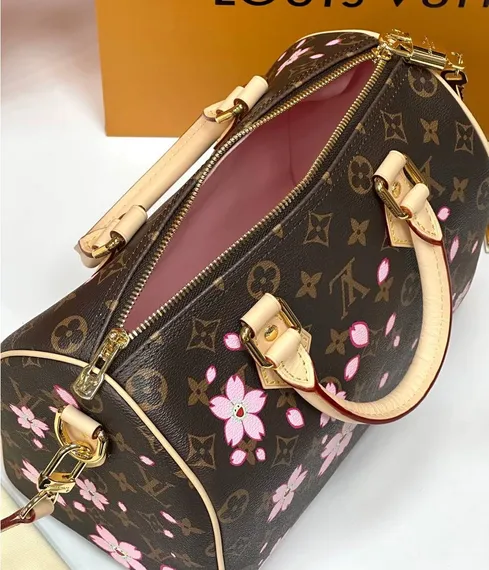 Сумка LOUIS VUITTON х TM Speedy 25, коричневый