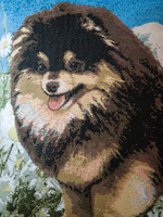 Декоративный гобеленовый чехол для интерьерной подушки Шпиц 38*38