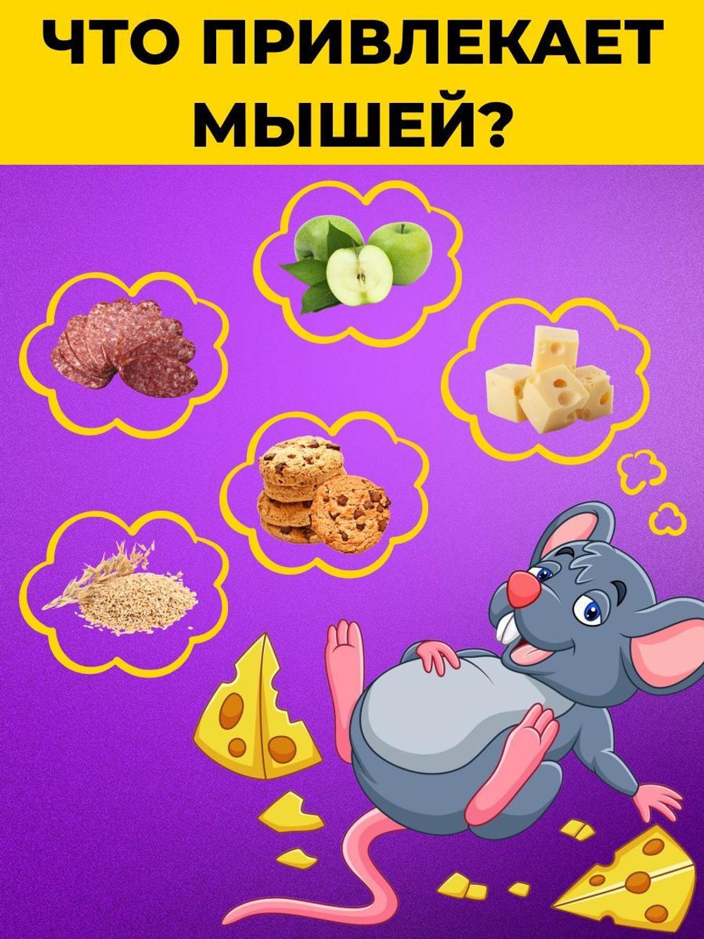 Мышеловка для мышей пластиковая, комплект 5 шт