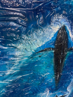 Дыхание океана