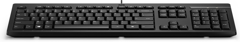 Клавиатура HP 266C9A6 черный