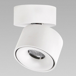 Спот Citilux CL558010N