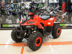 YACOTA RAPOSA 110 (красный)