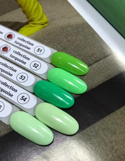 Набор гель-лаков 5шт по 10 мл тон 51-55