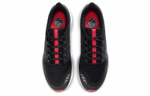 Кроссовки Nike Pegasus 36 Shield 36