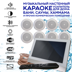 Комплект домашней акустической системы с караоке-усилителем Steam & Water SOUND 8 Standart