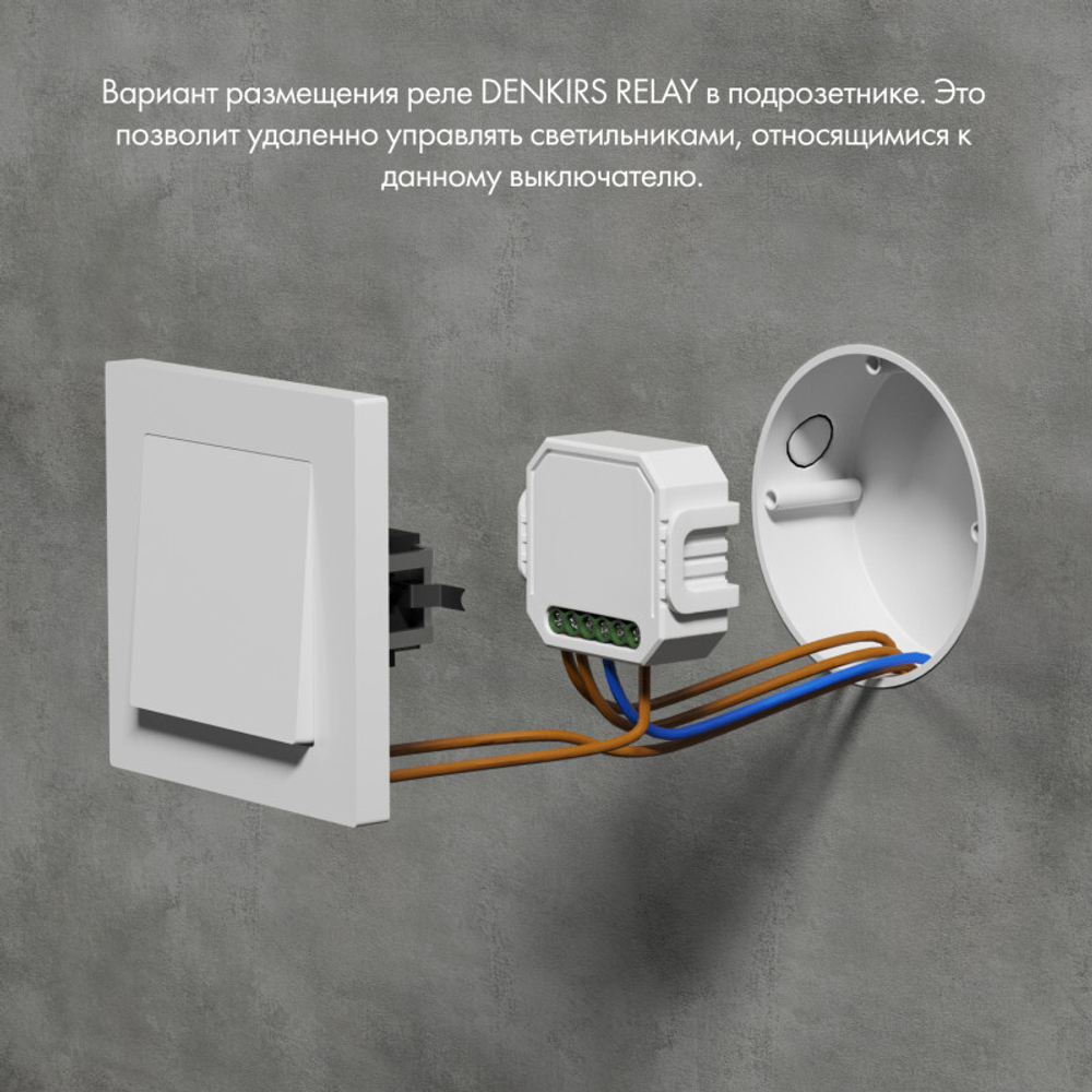 Одноканальное Wi-Fi реле-выключатель Denkirs RL1001-SM