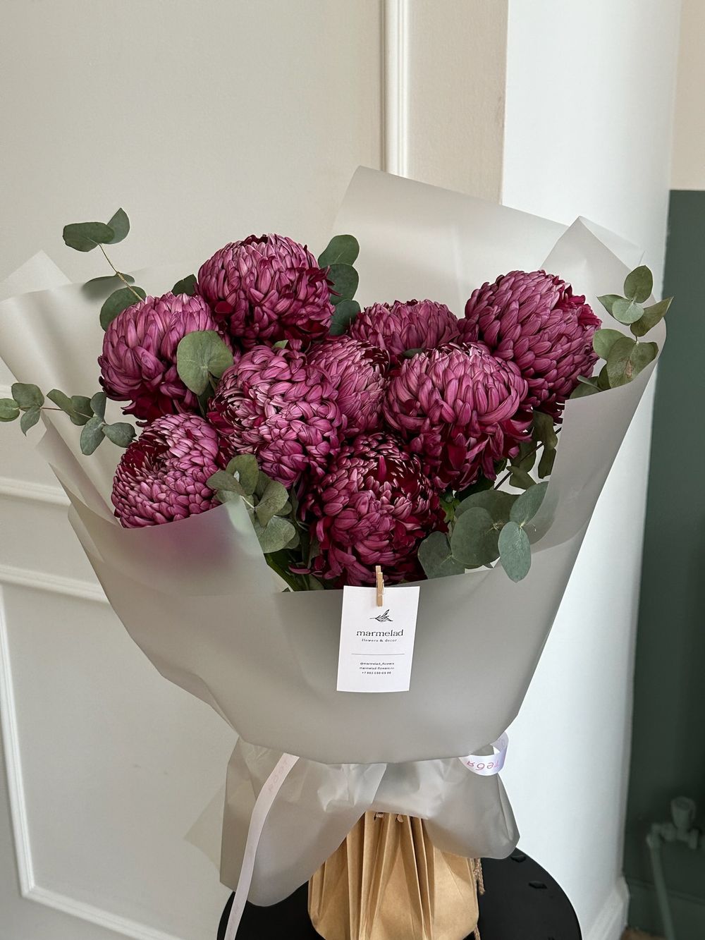 Моно из одноголовой хризантемы сливового оттенка