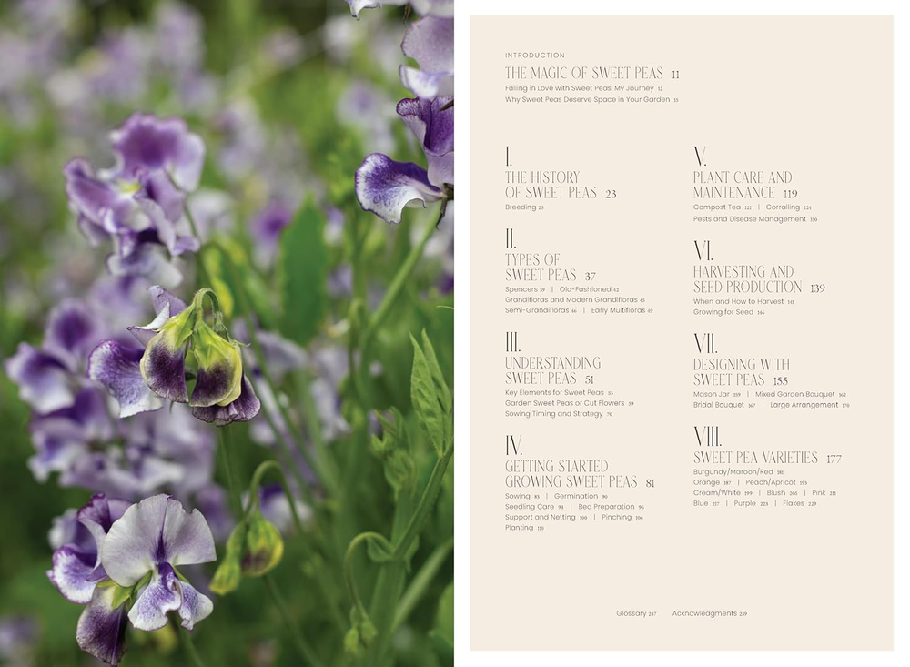 Sweet Pea School: Growing & Arranging the Garden’s Most Romantic Blooms