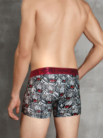 Мужские трусы-боксеры Doreanse Wild Tiger (Размер: L) (Цвет: черный)