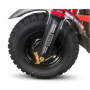 Грузовой электрический трицикл WHITE SIBERIA SIBTRIKE CARGO 1.8 3000W (60V/62Ah) фото №20