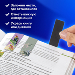 Закладки для книг МАГНИТНЫЕ "TROPICS" набор 12 шт. 60x20 мм BRAUBERG (4 штуки в упаковке)