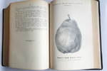 "Крымское промышленное плодоводство". Л.П. Симиренко. 0г. - редкая книга