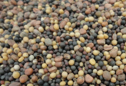 Смесь медоносов 0,5 кг