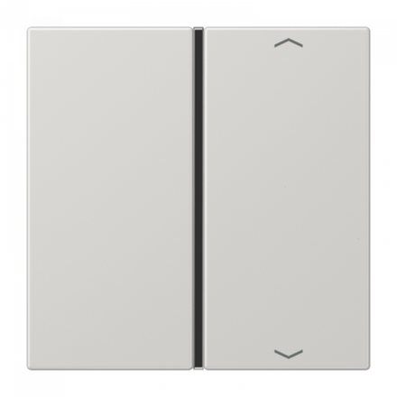 JUNG Клавиша для сенсорного модуля KNX, одиночная, светло-серая, арт.LS401TSAPLG