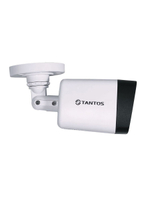 Видеокамера IP TSi-P2FP