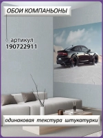 3D Фотообои черная гоночная машина в пустыне