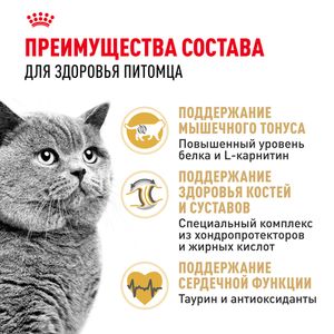 Сухой корм Royal Canin British Shorthair Adult для взрослых британских короткошерстных кошек