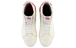 Moca X Vans Sk8
