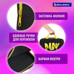 Папка на молнии с ручками BRAUBERG А4 1 отделение полиэстер 80 мм "Dark cat" (2 штуки в упаковке)