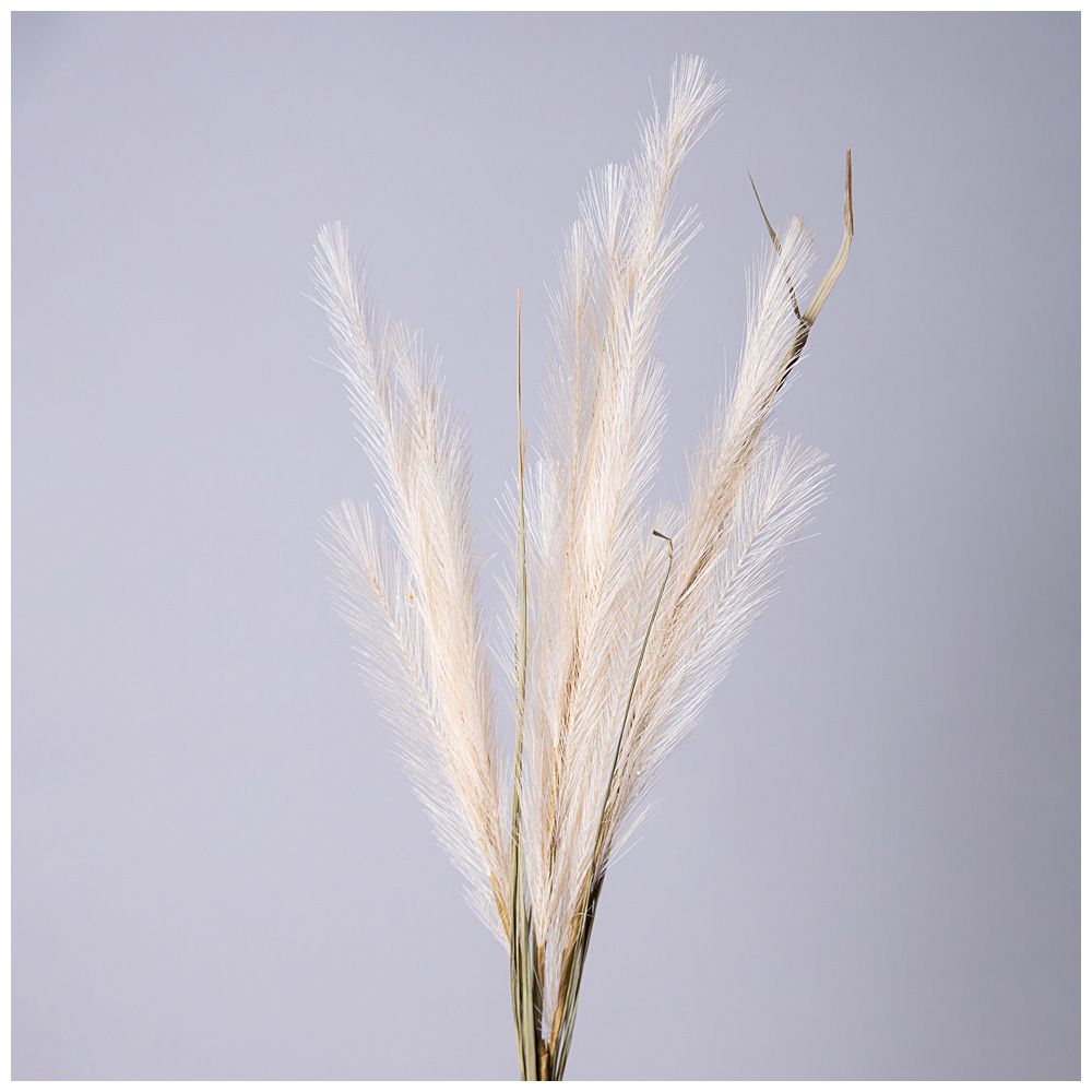 ЦВЕТОК ИСКУССТВЕННЫЙ ПОМПАСНАЯ ТРАВА, ЦВЕТ КРЕМОВЫЙ