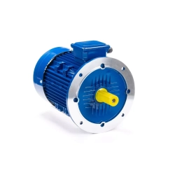 Электродвигатель ESQ 100 LB4-SDN- 3/1500 IMB5