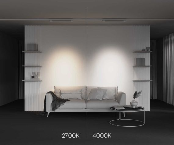 Трековый светодиодный светильник Maytoni Technical Points TR195-3-20W4K-M-W