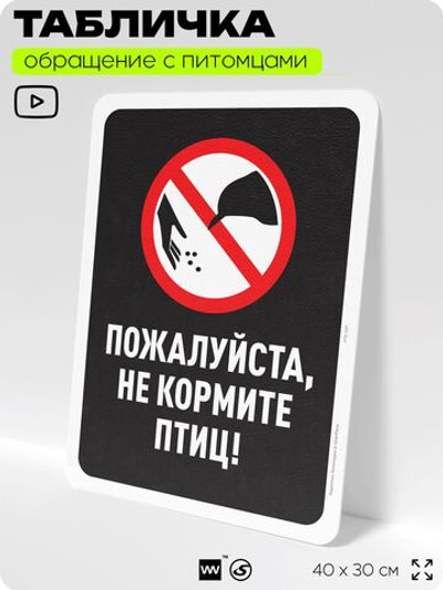 Табличка "Не кормите птиц" на дверь и забор, для двора, дома, подъезда, 40х30 см, Silver Plane x Айдентика Технолоджи