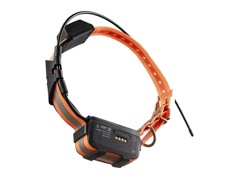 GPS ошейник ARTELV TRACKER 2W с базовой станцией