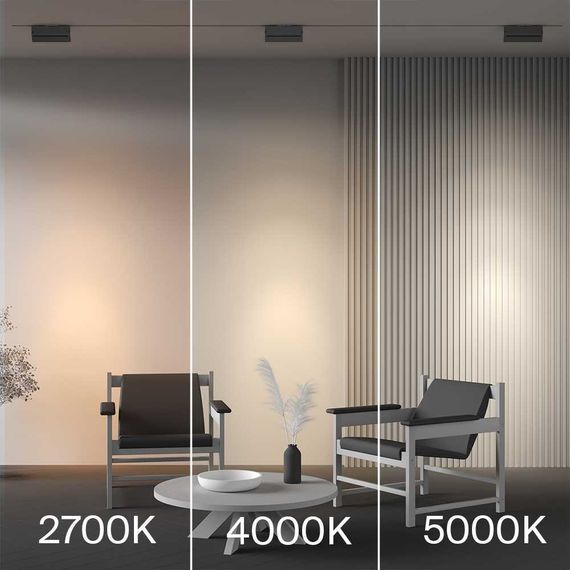 Трековый светильник Maytoni Technical TR223-1-12WCCT-W-B