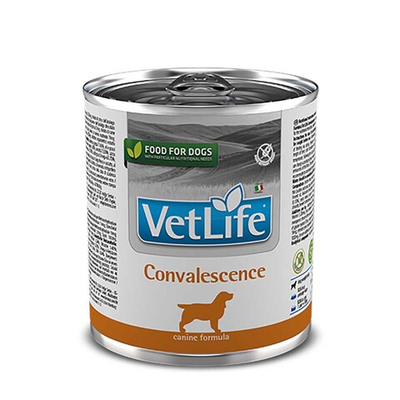 Farmina Vet Life Dog Convalescence 300г - диета паштет для собак в период восстановления
