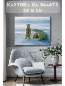 Картина на стену 40 X 50 Белый медведь