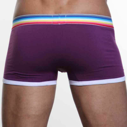 Мужские трусы хипсы фиолетовые Paul Smith Trunk Purple