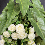 Антуриум куст 75 см.