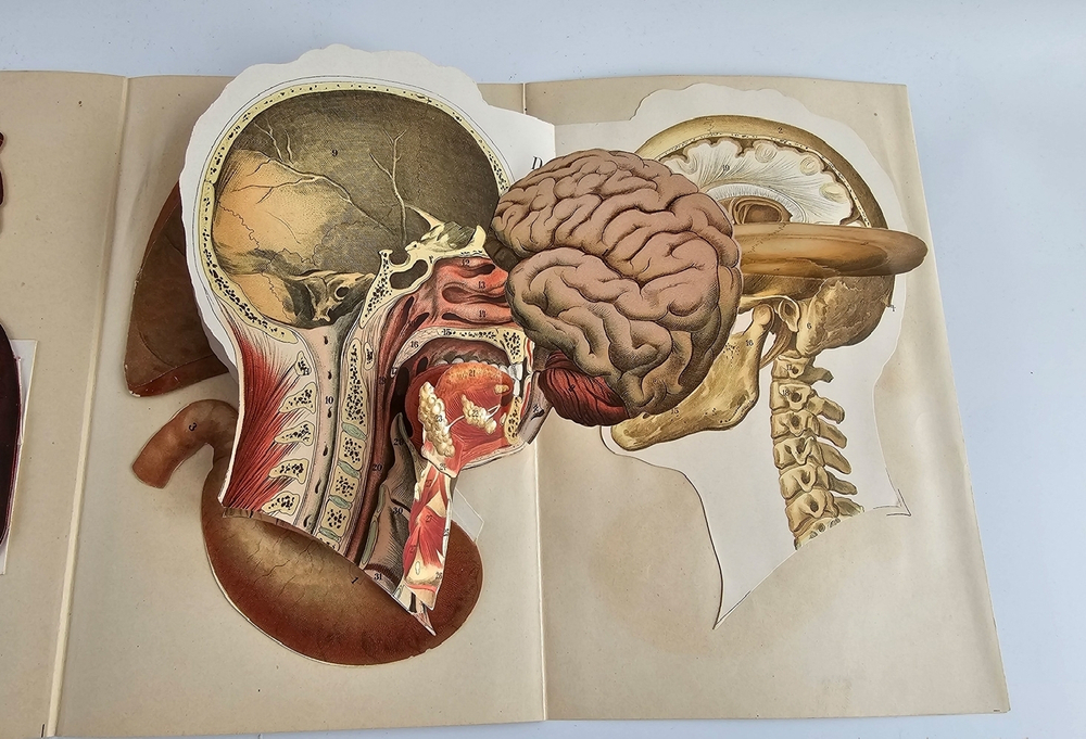 "Новый способ лечения. Лечение целебными силами природы."  М. Платен. 1906 г.