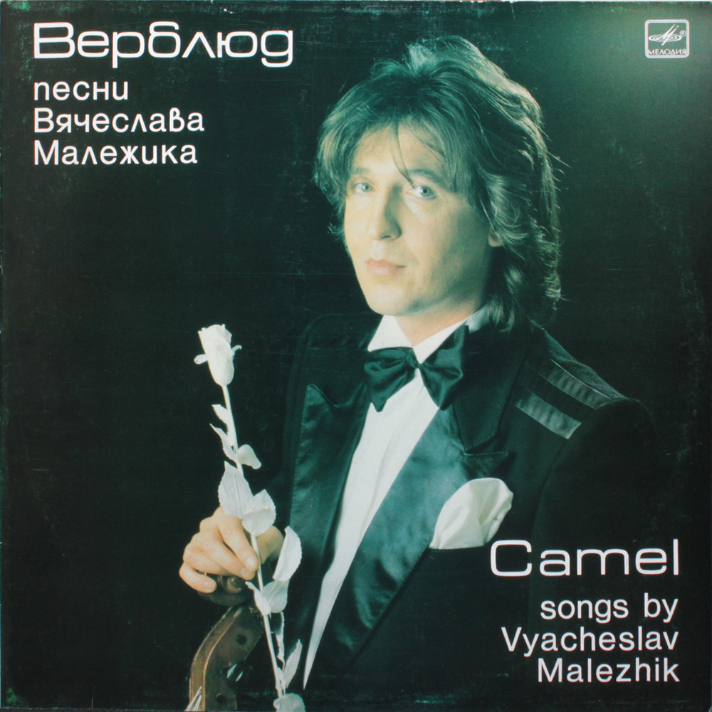 Вячеслав Малежик / Верблюд (LP)