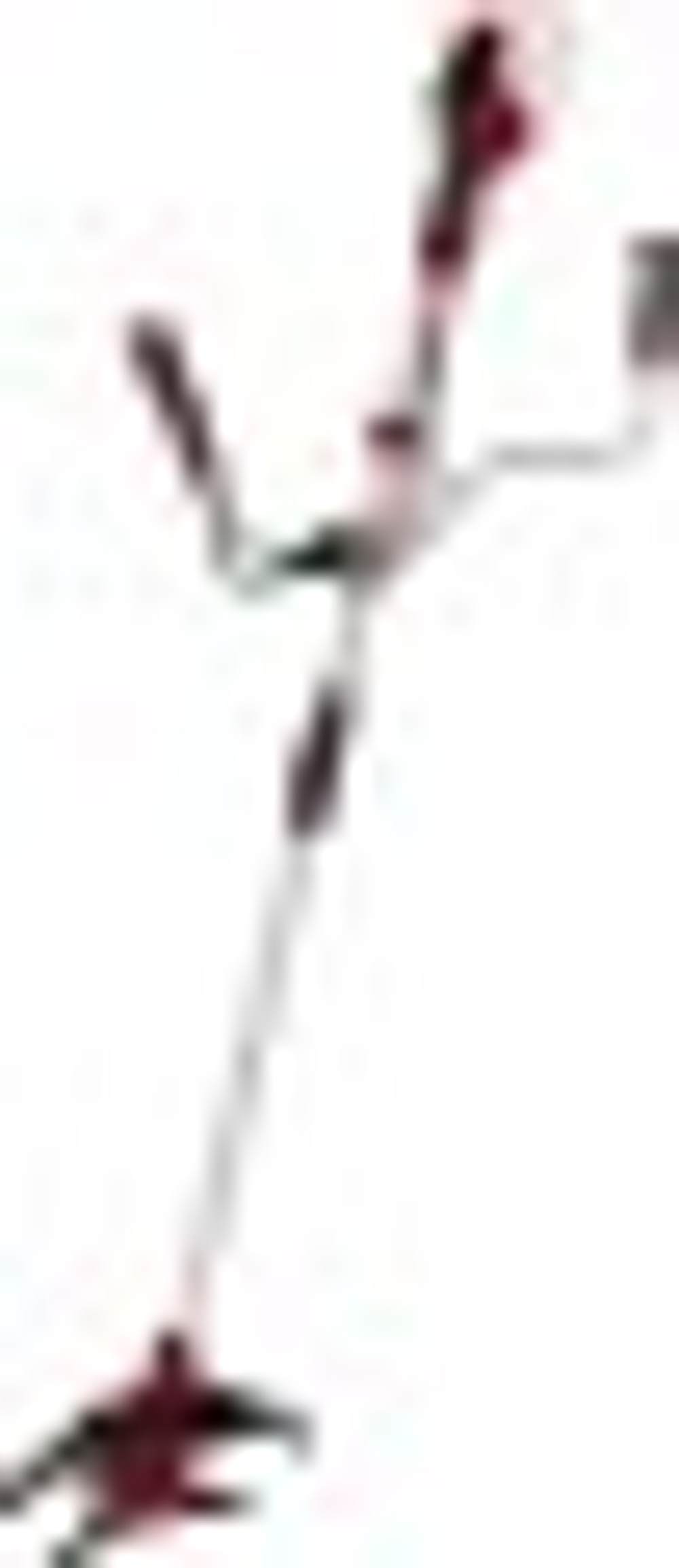 Триммер аккумуляторный EINHELL AGILLO без АКБ и ЗУ 3411320