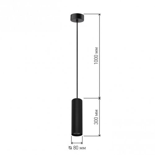 Подвесной светодиодный светильник Эра PL1 COB-10 BK 300 10W черный