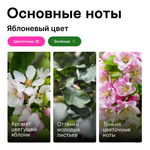 Яблоневый цвет