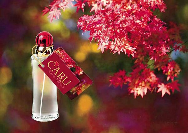 Fragrances of Ireland Caru