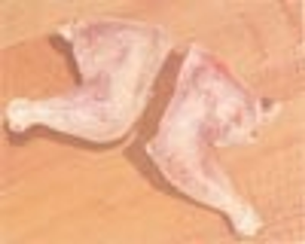 Мясо курицы - Окорочок бройлера (Broiler Leg Quarters