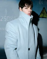 Голубое пальто 