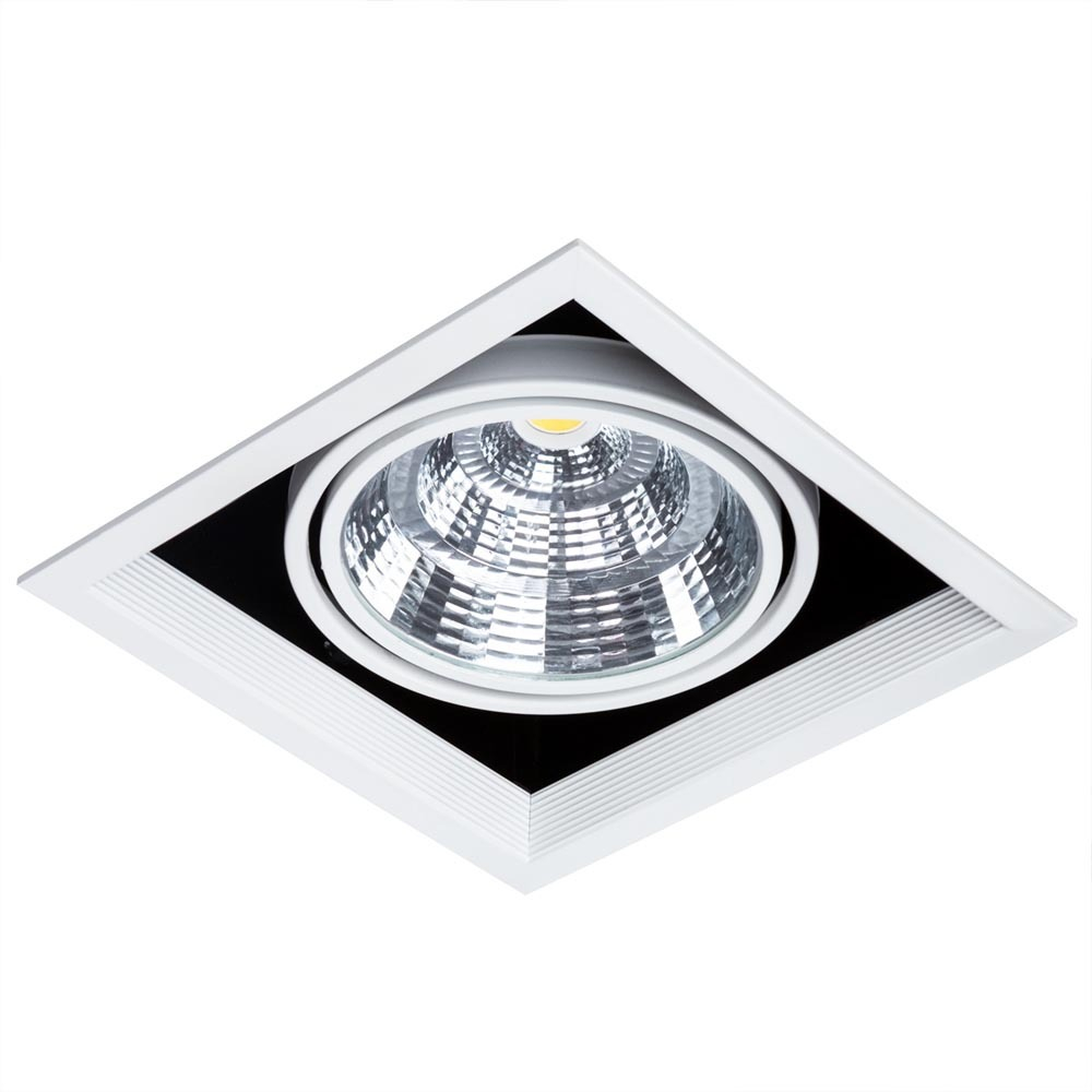 Встраиваемый светильник Arte Lamp A8450PL-1WH